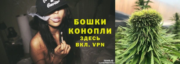 скорость Бородино
