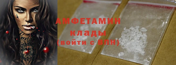 Альфа ПВП Верея