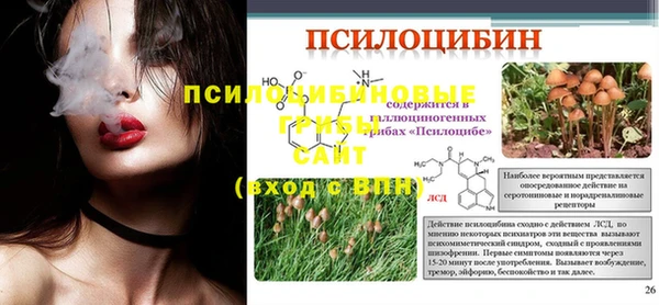 скорость Бородино