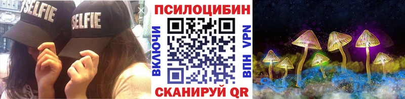 Купить где  Корсаков  Галлюциногенные грибы прущие грибы 